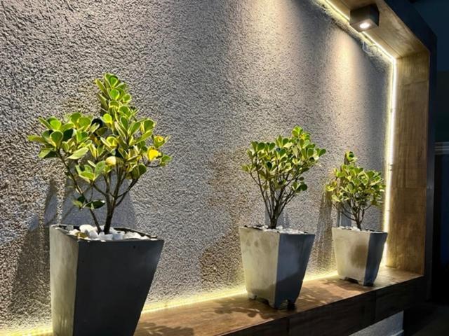 Marmeu Tropical Lejlighed Guarujá Eksteriør billede